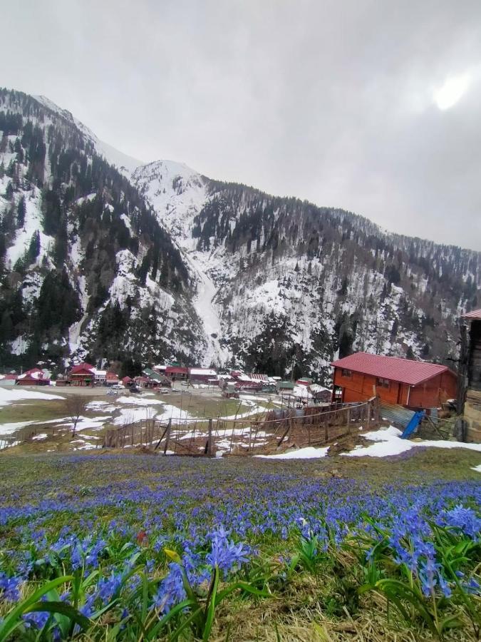 Ayder Yardimci Apart Экстерьер фото