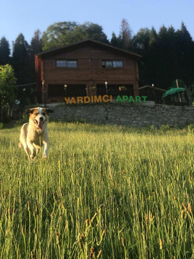 Ayder Yardimci Apart Экстерьер фото