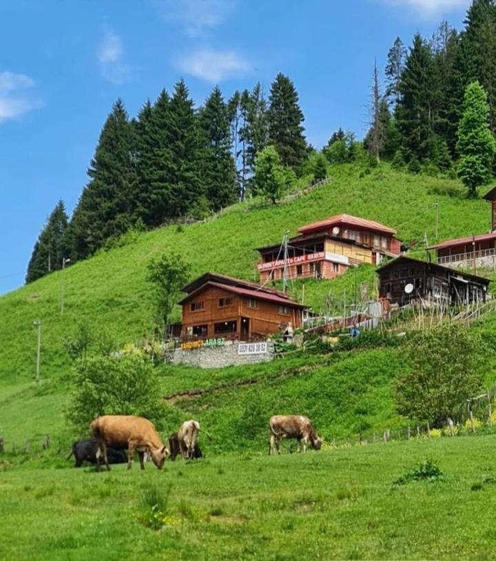 Ayder Yardimci Apart Экстерьер фото